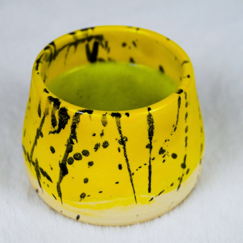 Taza Hikari